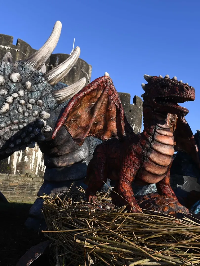 Dragons at Caerphilly castle