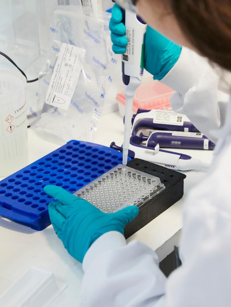 Samples being processed