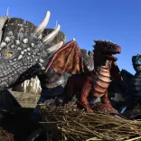 Dragons at Caerphilly castle 