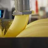 Dairy manufacturing process