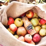 Bottle in a bag of apples