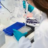 Samples being processed
