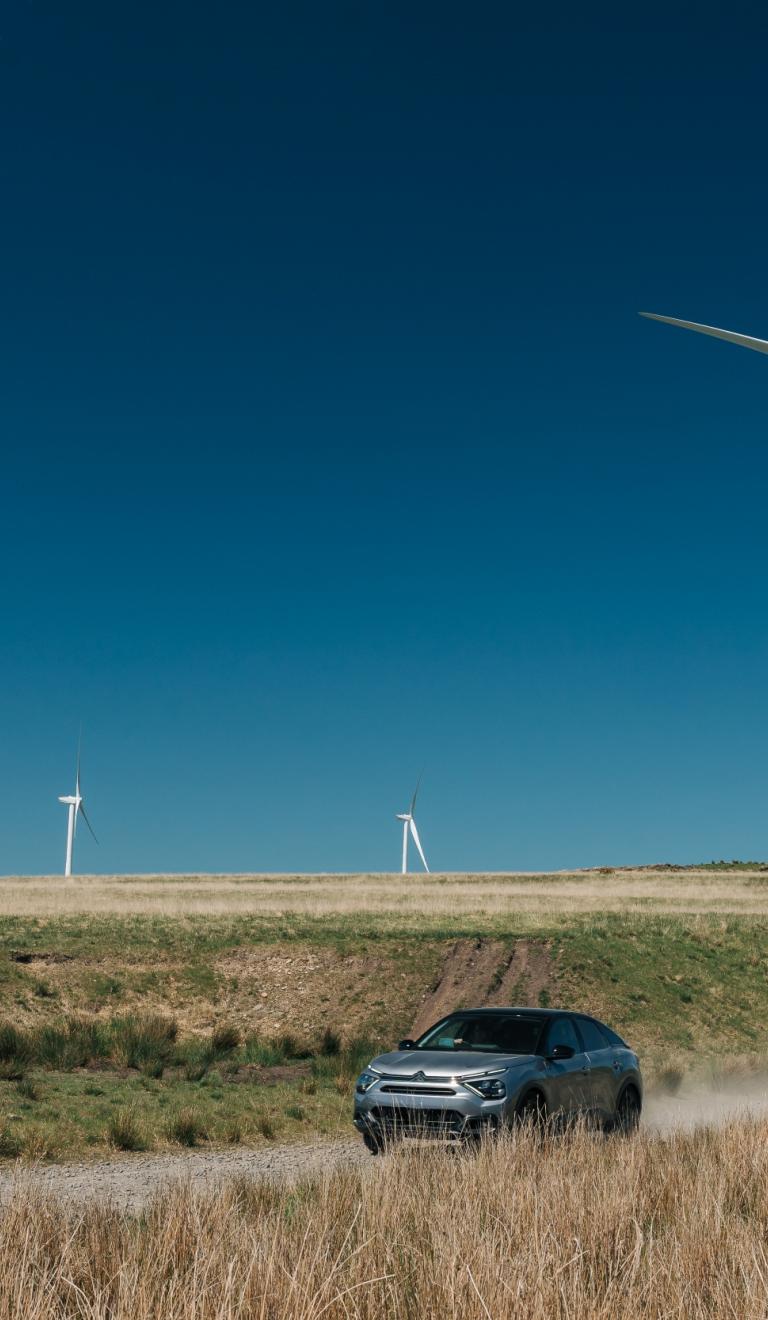 Trade & Invest Wales